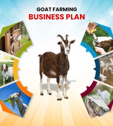 Goat-Farming-Business-Plan